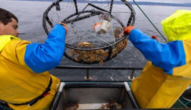 Record-breaking El Niño could gut California’s crab and salmon fleets