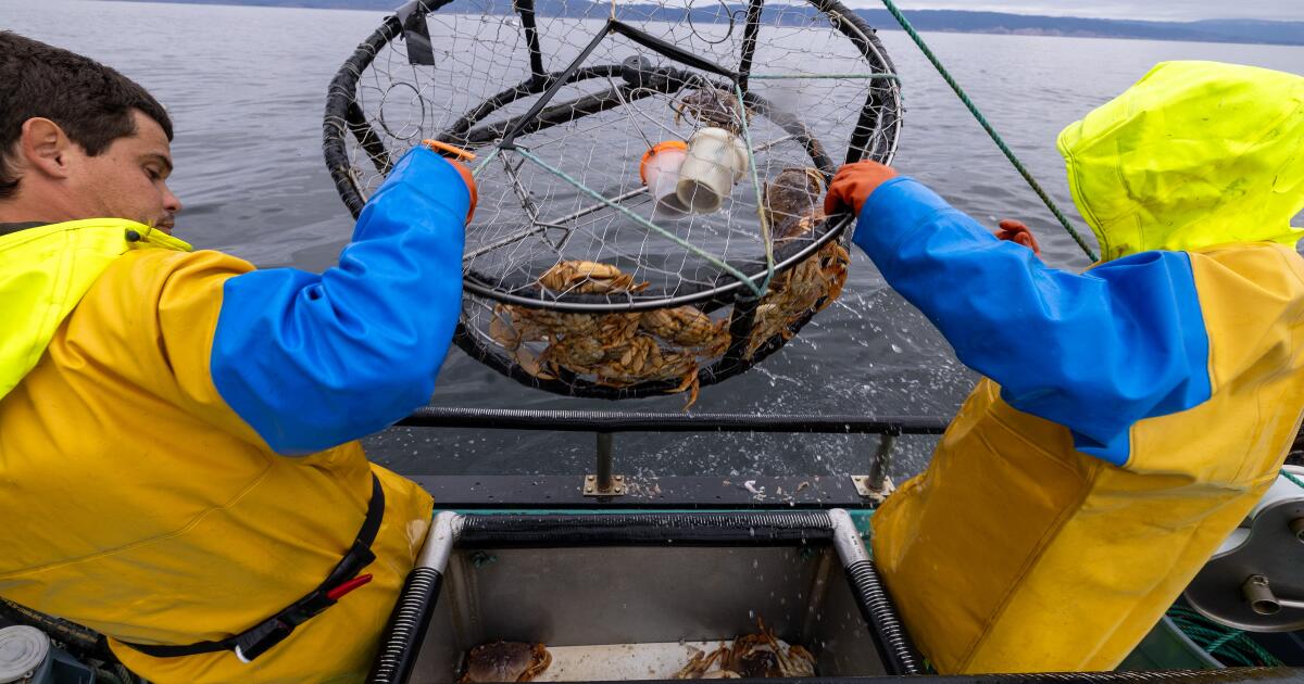 Record-breaking El Niño could gut California’s crab and salmon fleets