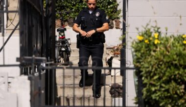 3 found shot to death inside Hollywood apartment, police say