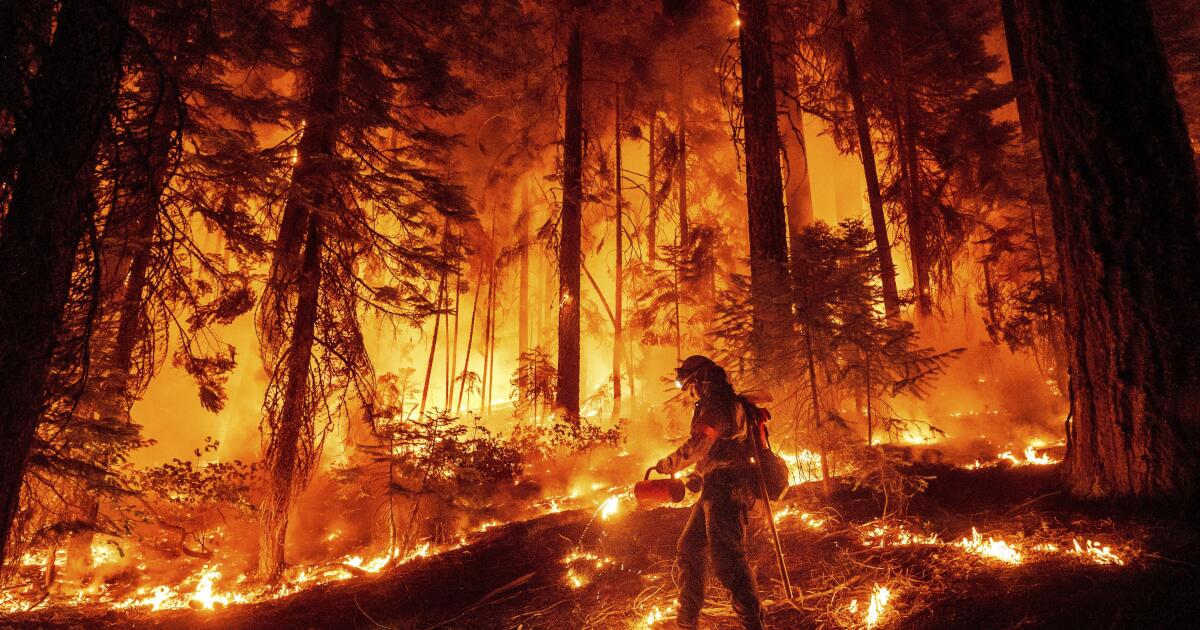 Man convicted of causing Park fire, one of California's largest blazes