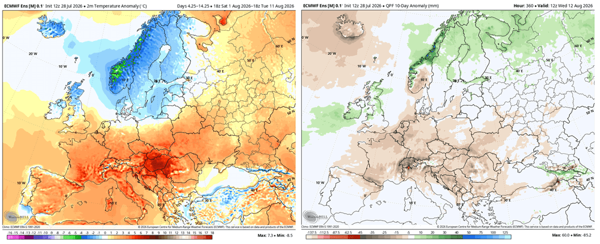 weather-forecast-surface-temperature-precipitation-europe-ecmwf-ensemble-august-start-10-day-anomaly