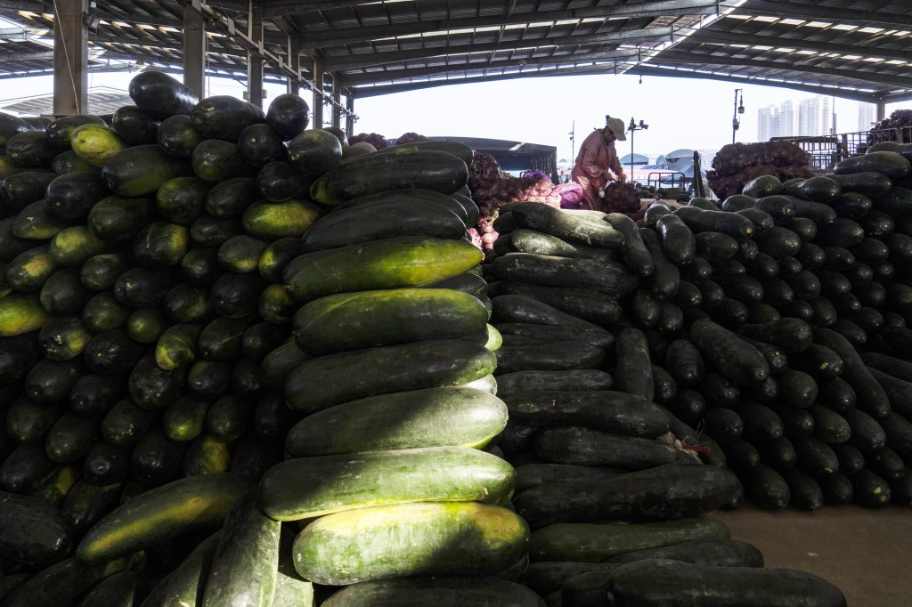 Winter melons piled high at a vegetable wholesale market in Jinan, China, with a vendor in the background.
