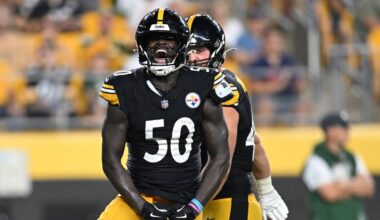 Steelers Cut Two More Players Including Former First-Round Pick