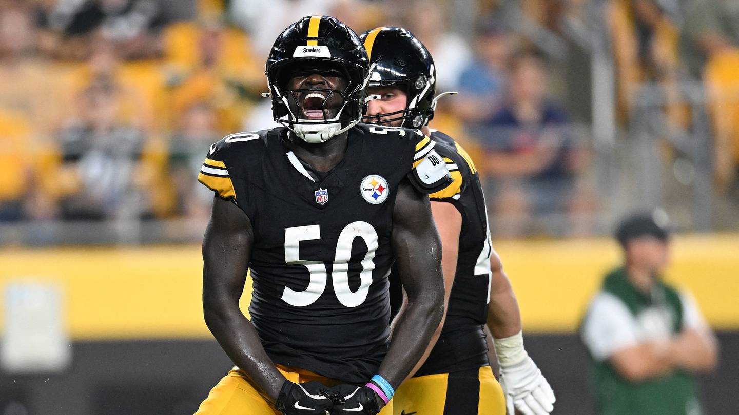 Steelers Cut Two More Players Including Former First-Round Pick