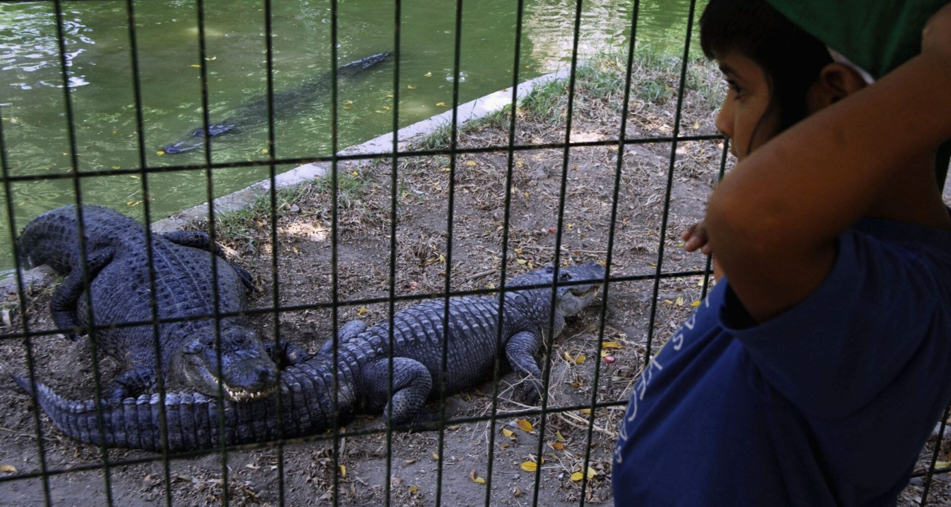 Israeli court delays Ben-Gvir’s plans for an Israeli ‘Crocodile Alcatraz’