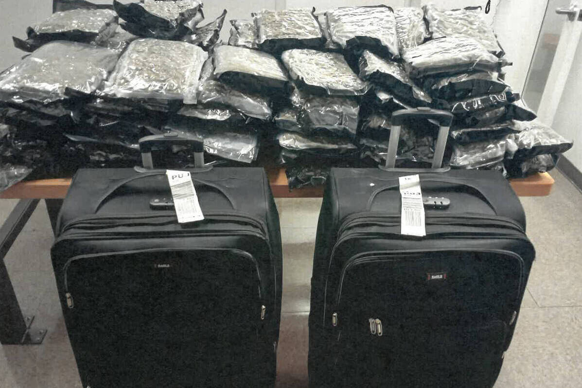 Bags of drugs are piled on a table behind two large wheeled suitcases.