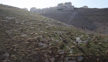 US responds to Israel's E1 tender: 'We do not support' Judea and Samaria annexation