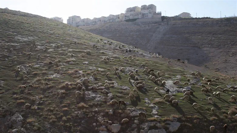 US responds to Israel's E1 tender: 'We do not support' Judea and Samaria annexation