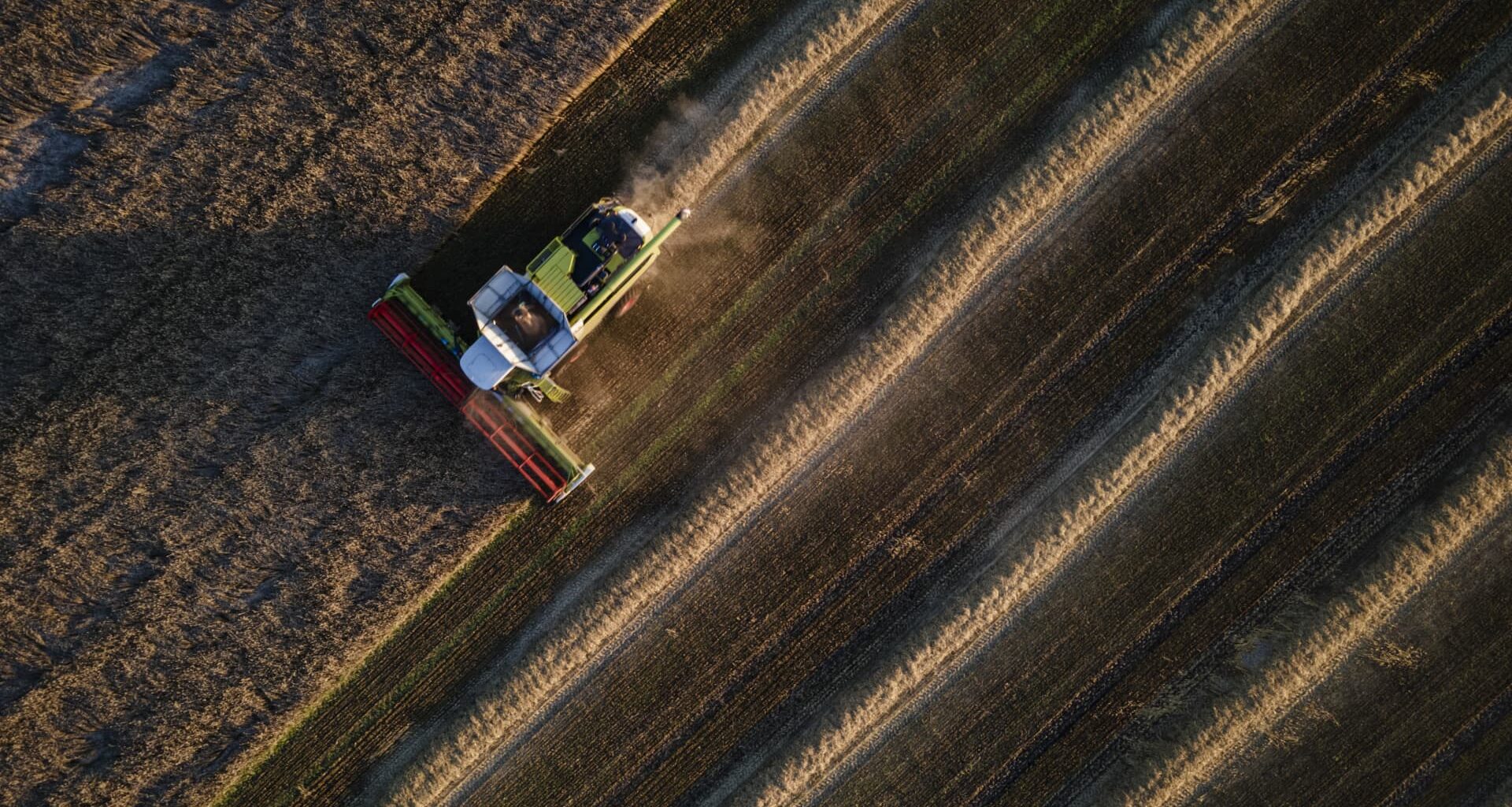 'Perfect storm' brews for global food supply as grain prices soar