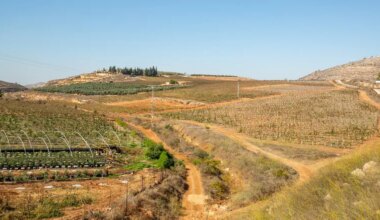 Exclusive: Jurisdiction of Givat Harel officially approved