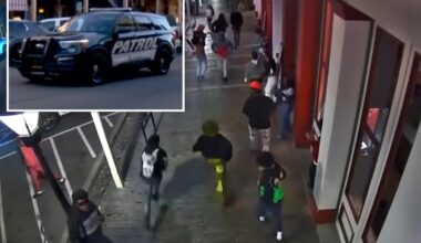 Sacramento launches private security force after mass stabbing