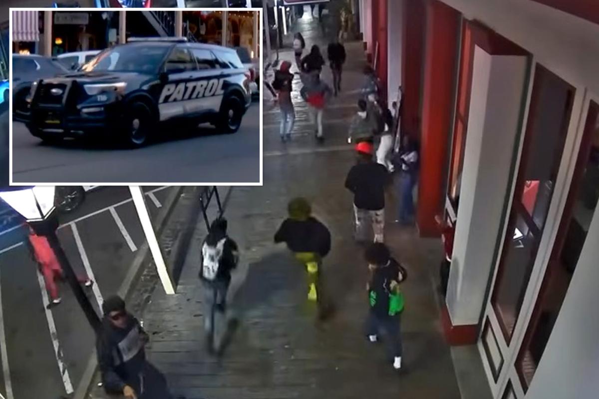 Sacramento launches private security force after mass stabbing