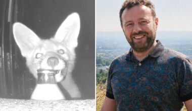 Homeowner blames 'militant vegan' for missing milk before camera reveals real thief