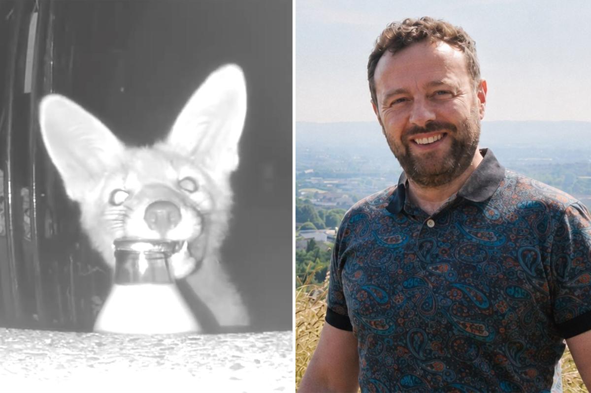 Homeowner blames 'militant vegan' for missing milk before camera reveals real thief