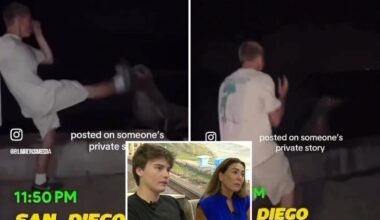 Teen wrongfully ID'd as SoCal sea lion attacker responds online