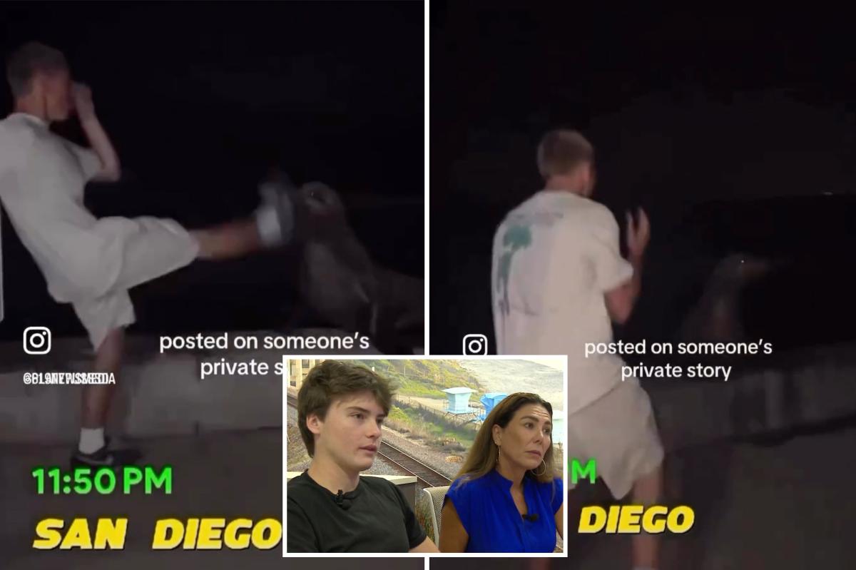 Teen wrongfully ID'd as SoCal sea lion attacker responds online