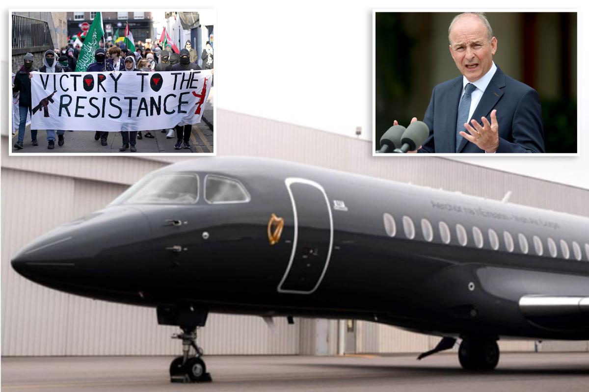 Ireland's 'Air Force One' lacks key safety feature thanks to ban on Israeli products