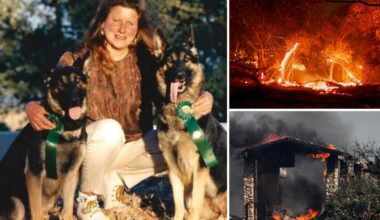 Beloved dog breeder killed in Gann Fire refused to leave her German Shepherds