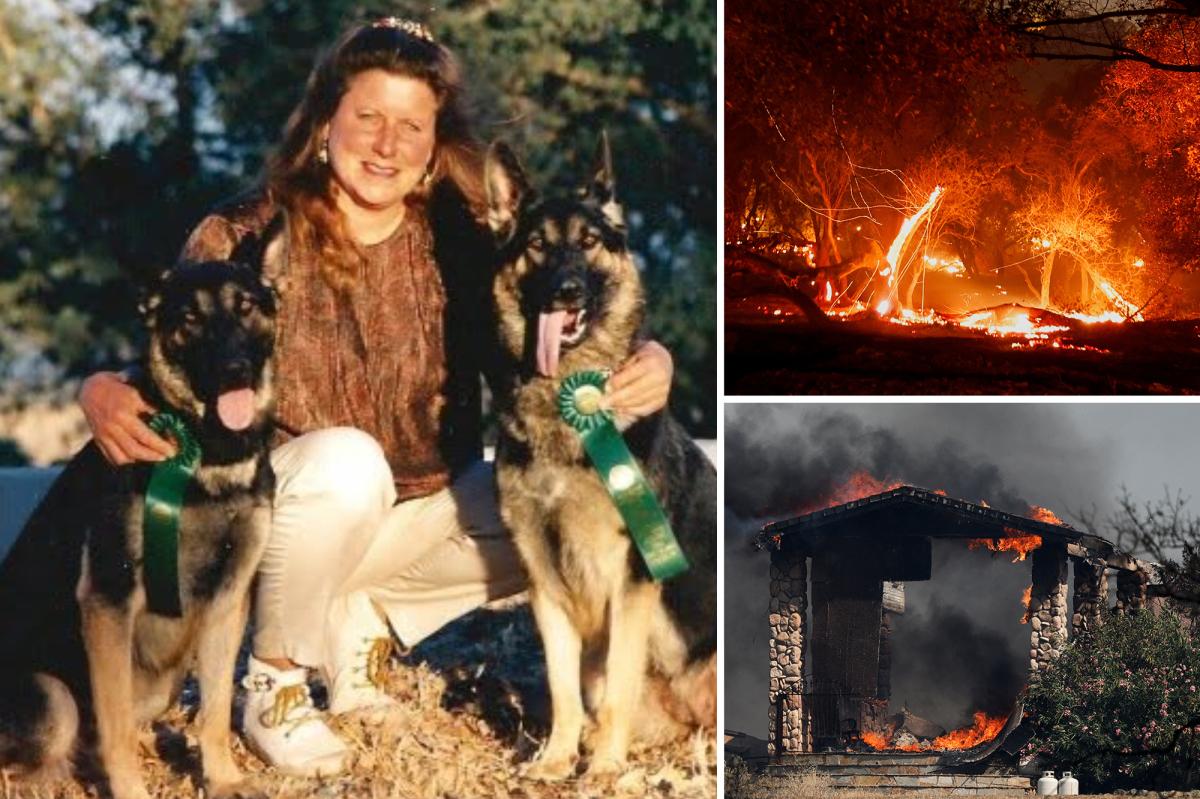 Beloved dog breeder killed in Gann Fire refused to leave her German Shepherds