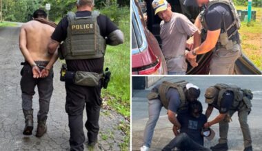 ICE agents arrest over 1200 illegal aliens in Georgia —many convicted sex offenders, child abusers