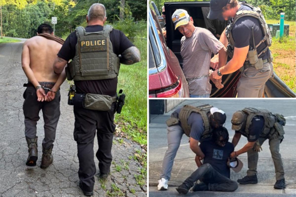 ICE agents arrest over 1200 illegal aliens in Georgia —many convicted sex offenders, child abusers