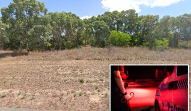 11 arrested for allegedly torturing teen boy tied to tree