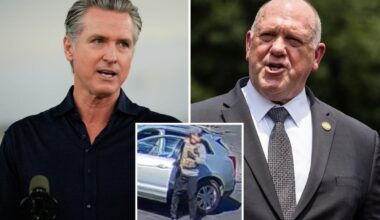 Tom Homan rips Gavin Newsom over illegal migrant's alleged killing of elderly Bay Area man