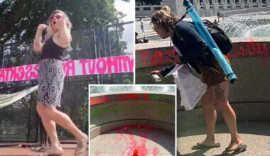 WWII Memorial vandal called herself 'homeless freedom fighter'
