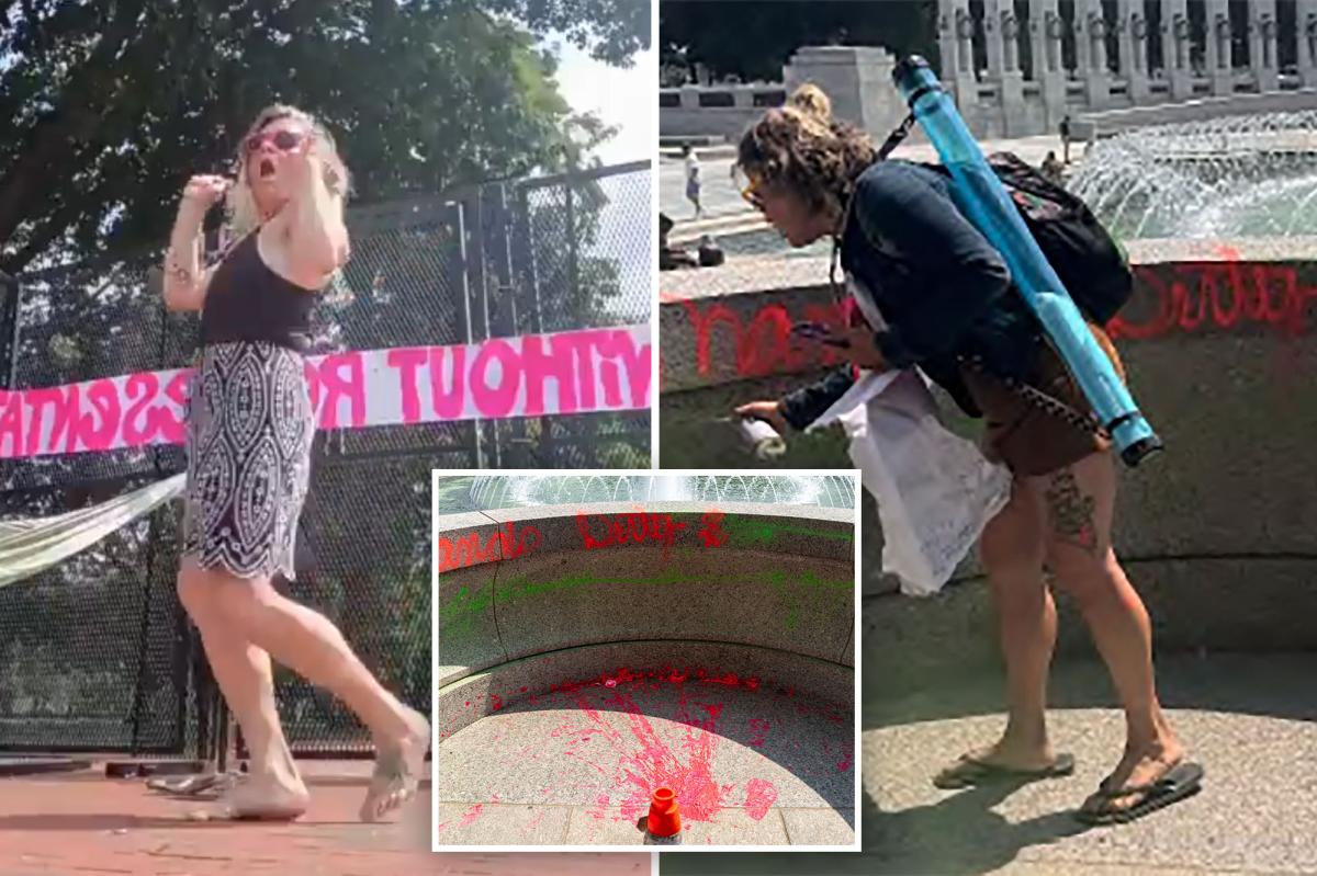 WWII Memorial vandal called herself 'homeless freedom fighter'