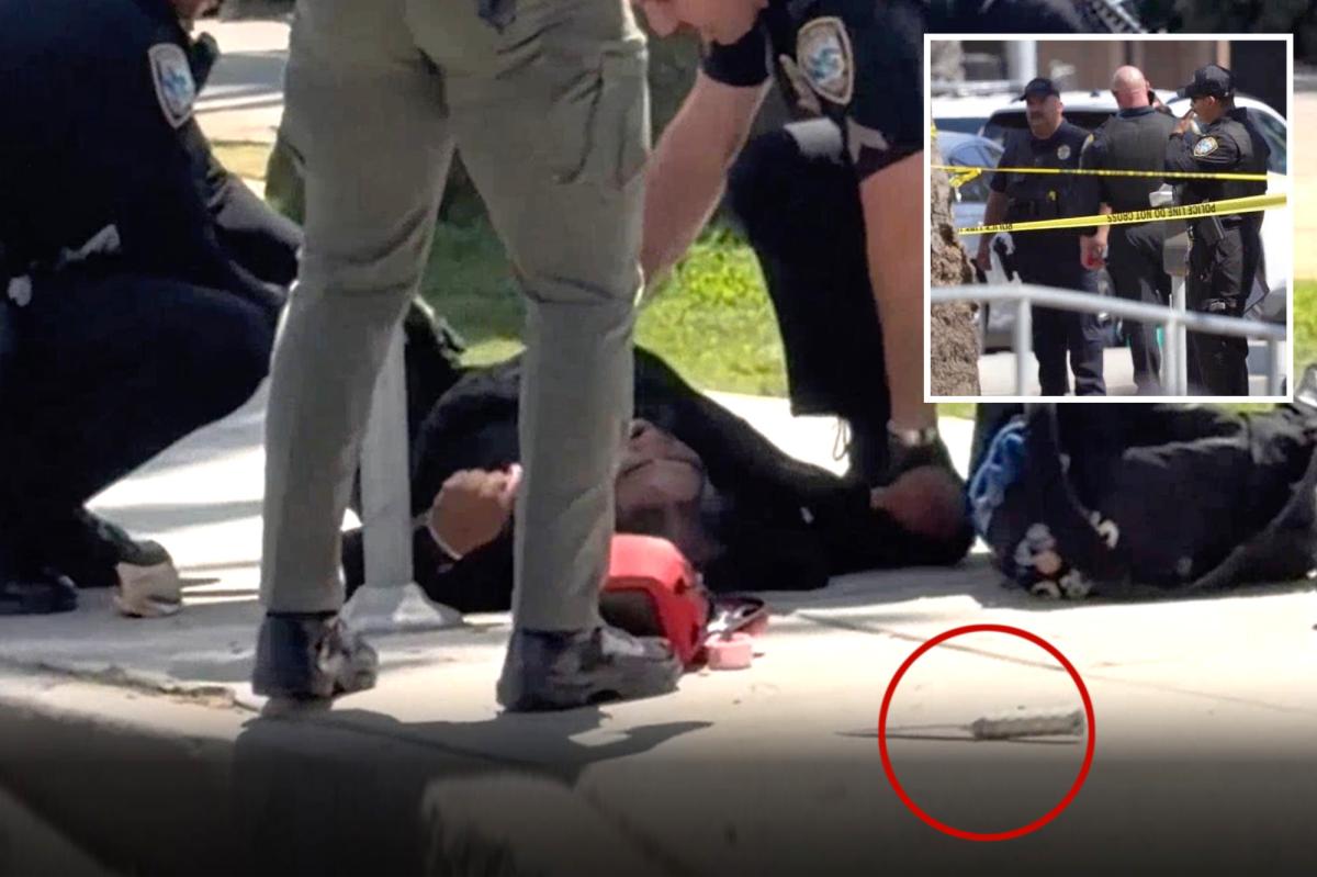 Knife-wielding man shot dead by police after charging cops in Santa Monica