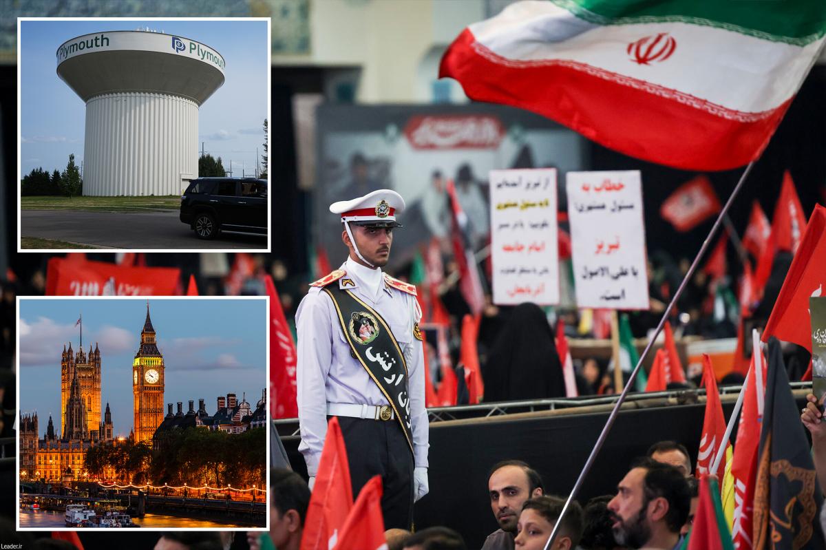 Iran hacks reveal weak spot on US, UK water, power grids as regime aims to maximize disruption: expert
