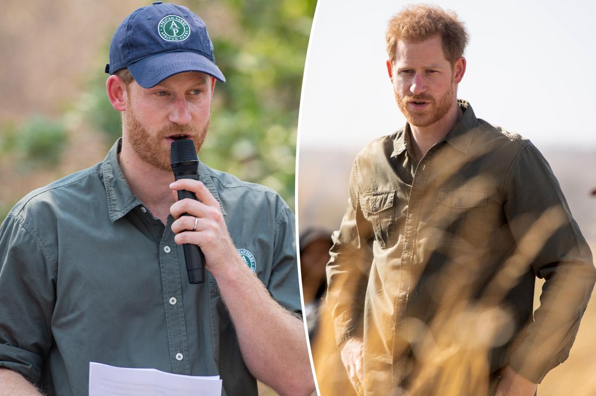 Prince Harry steps down from charity embroiled in human rights violations scandal