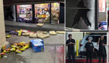 Gang loots Superior Grocers in front of staff in South Los Angeles