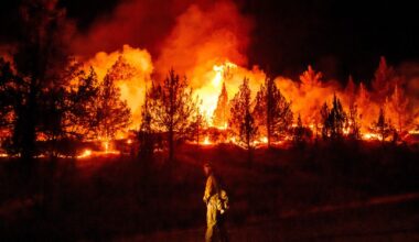 What Has Scientists 'Shaking in Their Boots' on Wildfires