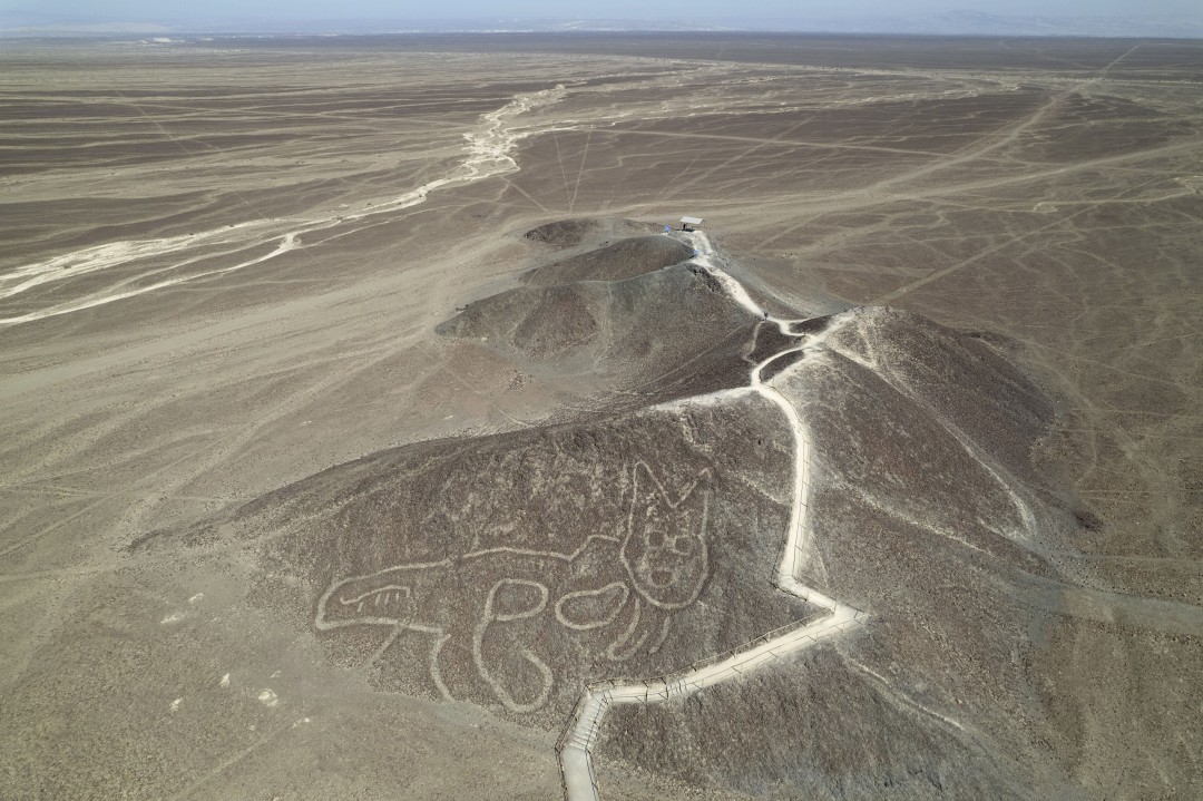 Lidar Find in Amazon Shows Signs of Societies Before Europeans