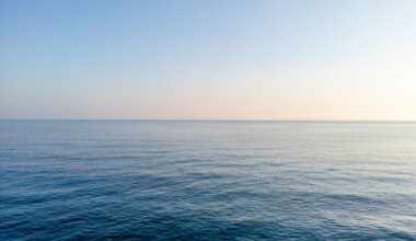 Diver on Discovery Off Sicily: 'My Heart Stopped'