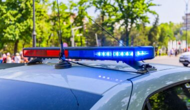 Babysitter Allegedly Took Sisters, Didn't Bring Them Home