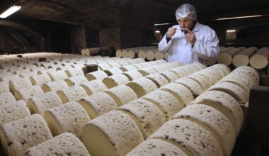 France Loosens Rules for Iconic Cheeses