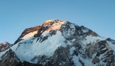Famed climber Nirmal Purja among 10 climbers killed after Pakistan avalanche, officials say