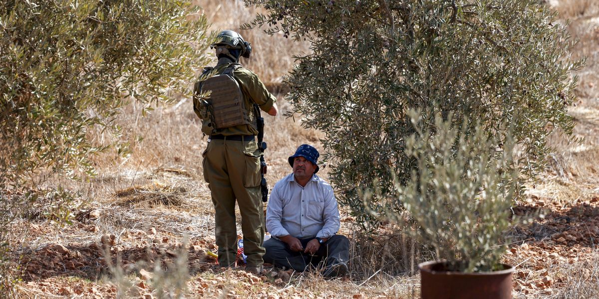 Opinion | USDA Agribusiness Integration With Israel Subsidizes Settler Expansionism
