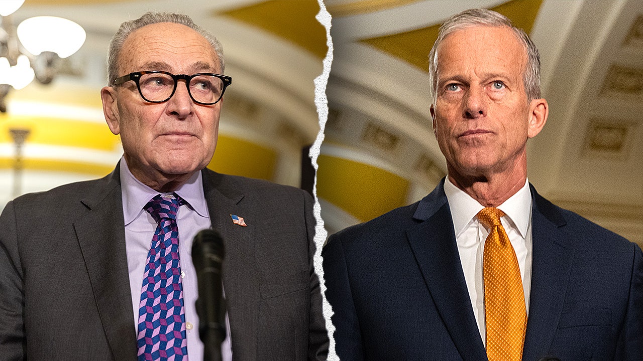 Schumer, Dems relent to back deal to thwart government shutdown