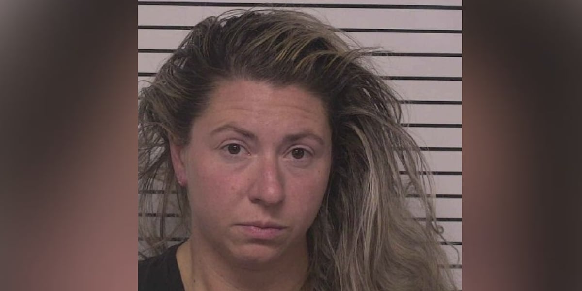 Police officer used department cameras to track civilian