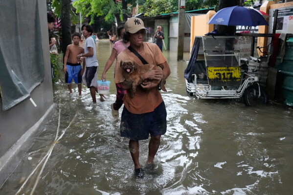 A man carries his dog along floodwaters caused by heavy seasonal monsoon rains at Bagong Silangan village in Quezon city, Metro Manila, Philippines Monday, Aug. 10, 2026. (AP Photo/Aaron Favila) CORRECTION: Corrects typo in location to Silangan, instead of Silagan