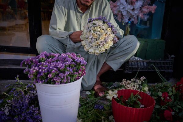 A flower seller arranges bouquets ahead of celebrations marking the fifth anniversary of the U.S. withdrawal and the start of Taliban rule in Kabul, Afghanistan, Friday, Aug. 14, 2026. (AP Photo/Nava Jamshidi)