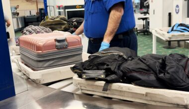 Mexican alligator lizards found smuggled in traveler's socks at Tokyo airport