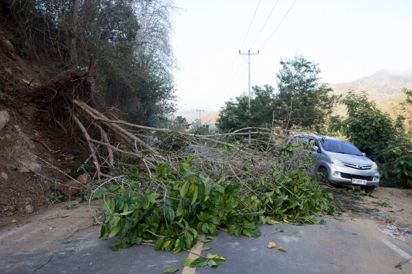 A car makes its way around a fallen tree due to an earthquake-triggered landslide in Reo, East Nusa Tenggara province, Indonesia, Monday, Aug. 17, 2026. (AP Photo/Firdia Lisnawati)