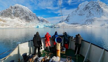 Norway boater's brazen use of horn to wake sleeping polar bear leads to fine