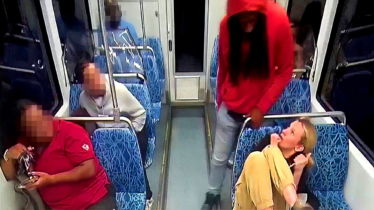 Iryna Zarutska family sues Charlotte over light-rail security gaps