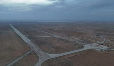 12 Nations Condemn Israeli Strike on Syria Air Base