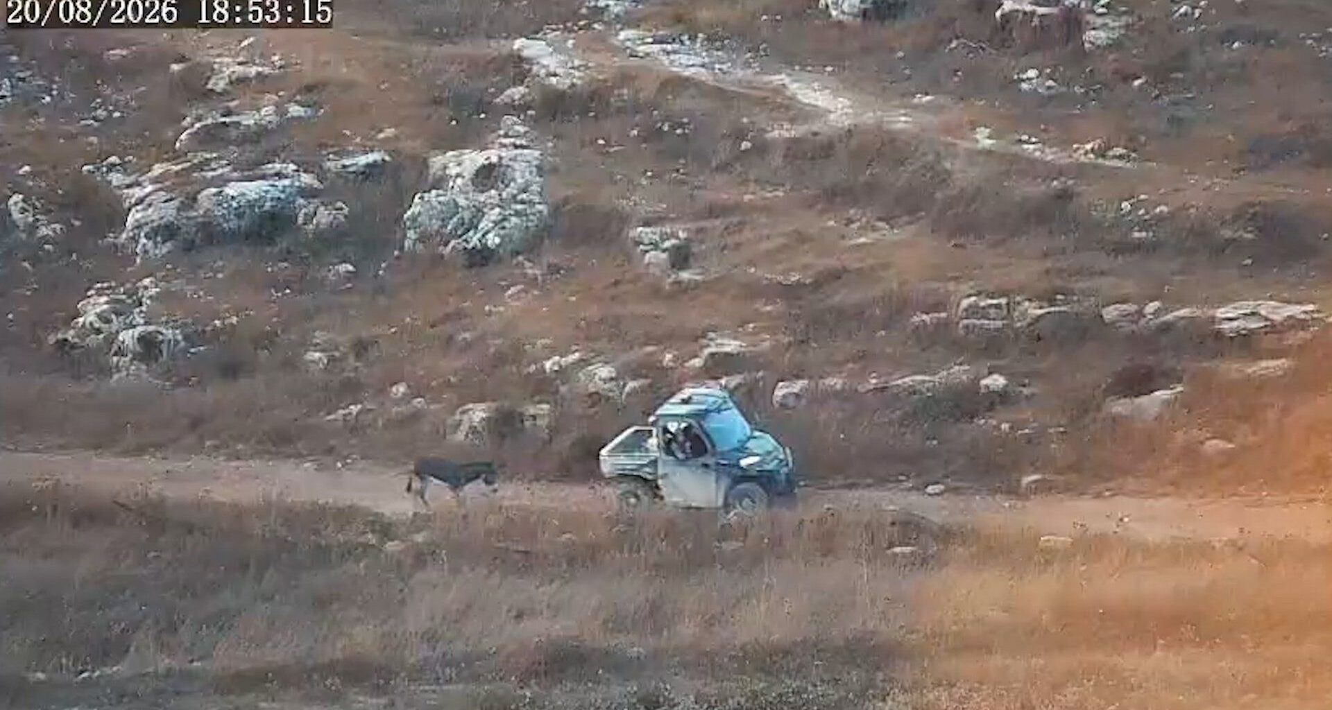 Sanctioned by EU, Israeli settler steals and kills Palestinian donkey | Palestinian Authority